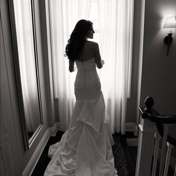 Meet your Posher, Ellie - Picture 5 of 6